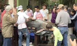 Gây quỹ từ thiện từ “thủy quái” sông Mê Kong 