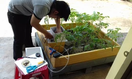 Hệ thống tưới thông minh của sinh viên ngành Kỹ thuật xây dựng công trình thủy áp dụng thành công cho cây cà chua, mang lại năng suất cao, tiết kiệm thời gian và công chăm sóc