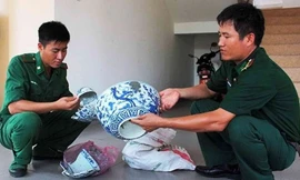 Một số di vật gốm sứ tìm thấy ở vị trí tàu cổ đắm tại Dung Quất. Ảnh: Bảo tàng Lịch sử quốc gia