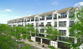 Không gian xanh thuần khiết