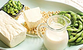 Đậu nành được xem là thực phẩm vàng của thế kỷ 21