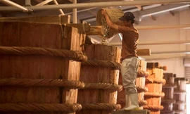 Nam Ngư – nhãn hiệu gia vị hàng đầu được tin chọn bởi hàng triệu gia đình Việt. 