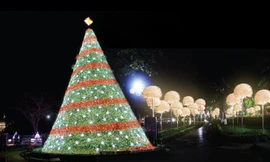 TTTM EcoLife Capitol: Khai trương tưng bừng - Mừng đón Giáng sinh 