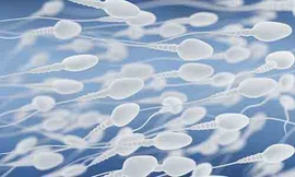 Đàn ông có số lượng tinh trùng ít dễ mắc nhiều bệnh