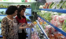 Tăng cường tuyên truyền và kiểm tra đảm bảo an toàn thực phẩm. ảnh: TTXVN.