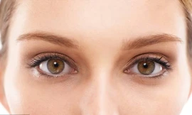 Mí mắt và vùng da xung quanh nó là “điểm nóng” của ung thư bởi da ở đây mỏng hơn và thường không được bảo vệ khỏi ánh nắng mặt trời