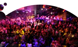 Điều gì chờ bạn ở Colorzoom Berlin 2014?