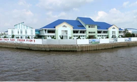 I.D.I & lý tưởng phát triển bền vững 