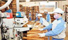 Năm 2018, nhiều tín hiệu khả quan với đồ gỗ Việt Nam từ các thị trưởng EU, Nhật, Hàn Quốc, Mỹ