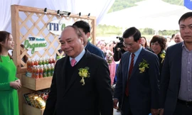 Thủ tướng Chính phủ Nguyễn Xuân Phúc và các đại biểu tham dự Lễ động thổ Dự án chăn nuôi bò sữa và chế biến sữa công nghệ cao Hà Giang của tập đoàn TH tại xã Phong Quang (huyện Vị Xuyên, Hà Giang) chiều 27/11