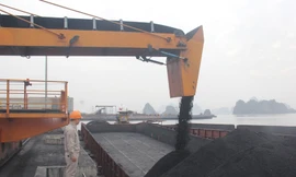 Công ty Công ty Kho vận và Cảng Cẩm Phả - TKV đã tổ chức rót 3.700 tấn than cám 6a.1 tiêu thụ thị trường nội địa