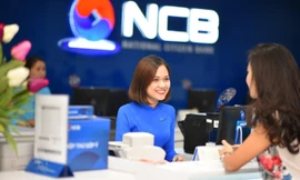 NCB: Tăng trưởng tiếp tục khởi sắc và bền vững