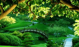 Sống gần công viên sẽ giảm tỉ lệ mắc bệnh lo âu, trầm cảm