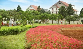 Sống tại ngoại ô đang trở thành xu thế lựa chọn của các nước đang phát triển