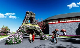 'Trồng' một vườn hướng dương rộng 1500m2 bên vịnh Hạ Long dịp lễ hội hoa