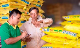 Bộ sản phẩm phân bón Phú Mỹ của PVFCCo được công nhân là Thương hiệu Quốc gia năm 2016.