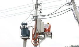 Điện lực miền Bắc đảm bảo điện cho các kỳ tuyển sinh Đại học, cao đẳng