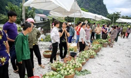 Ghé thăm chợ na lớn nhất miền Bắc ở Lạng Sơn