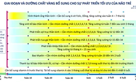 Dinh dưỡng vàng cho phát triển tối ưu não bộ trong những năm tháng đầu