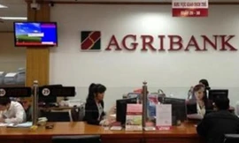 Agribank tiên phong giảm lãi suất cho vay, hỗ trợ khách hàng giảm chi phí vốn, đưa tín dụng ngân hàng tiếp tục phát huy vai trò thúc đẩy tăng trưởng kinh tế 