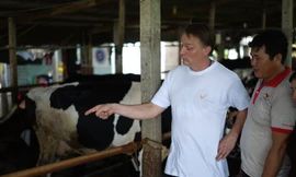 Chia sẻ kinh nghiệm thực tế từ chăn nuôi giữa các nông dân được cho là có sự lan tỏa tốt hơn