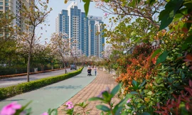 Bất động sản sinh thái Hà Nội có đúng chuẩn xanh?