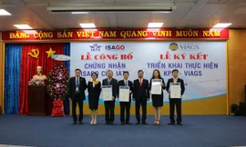 VIAGS nhận chứng chỉ an toàn khai thác ISAGO của IATA