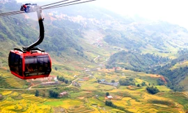 Tháng Mười lên Fansipan ngắm ngọn đồi Tam giác mạch mùa lễ hội