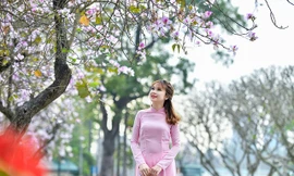 Nữ sinh 9X bên sắc tím hoa ban giữa lòng Thủ đô