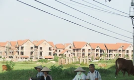 Hàng loạt dự án bất động sản tại huyện Mê Linh - Hà Nội sau khi thu hồi của dân đã bị bỏ hoang nhiều năm Ảnh: Minh Tuấn