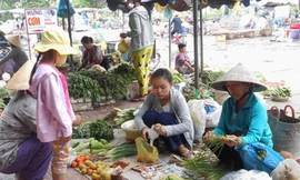 Nữ sinh bán rau với ước mơ giảng đường sắp vụt tắt