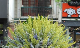 Bình hoa cao 2m giá 85 triệu đồng 