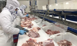 Lãnh đạo Bộ NN&PTNT cho biết sẽ thanh tra về giá thịt lợn tại một số DN Ảnh: Bình Phương