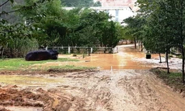 Bùn đất từ điểm rò rỉ đường ống dẫn nước tràn vào sân Nhà máy thủy điện A Lưới