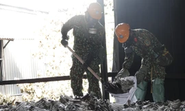 Chiến sĩ thuộc Binh chủng Hóa học đang thu dọn bóng đèn compact tại tầng 2 nhà kho của Công ty Rạng Đông ẢNH: NGUYỄN MINH