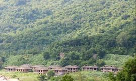 Một dự án trên bán đảo Sơn Trà bị bỏ hoang nhiều năm nay Ảnh: Nguyễn Thành 