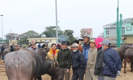 Một nhóm người bình luận, giúp người mua trả được giá hợp lí