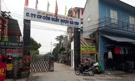 Cty Cổ phần Cồn rượu giấy Hà Tây cho doanh nghiệp thuê đất để xảy ra vi phạm môi trường