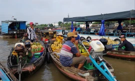 Chợ nổi tập trung hàng trăm phương tiện mua bán của thương hồ Ảnh: N.H 