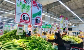 Trong tháng 2, do dịch bệnh, rau, củ quả có giá rẻ bất ngờ