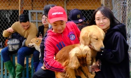Trẻ em chơi với chó ở Black Rock Garden