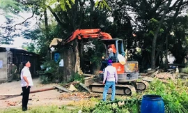 Ông Thổ cho rằng, nếu việc giao đất không hợp lý thì thu hồi 