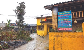 Homestay và các dịch vụ du lịch khác