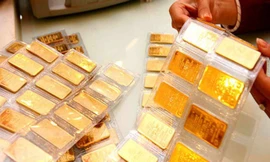 Giá vàng có thể tiếp đà tăng