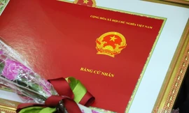 Đề nghị xem lại việc cấp bằng cử nhân thay kỹ sư