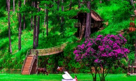 Phong cảnh trữ tình ở Làng Cù Lần tỉnh Lâm Đồng, Nam Tây Nguyên 