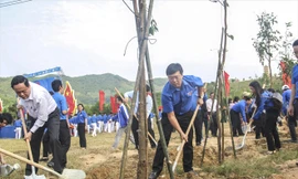 Ông Trần Thanh Mẫn - Bí thư T.Ư Đảng, Chủ tịch Ủy ban T.Ư MTTQ Việt Nam và anh Lê Quốc Phong, Bí thư thứ nhất T.Ư Đoàn cùng các ĐVTN tham gia “Tết trồng cây đời đời nhớ ơn Bác Hồ” Xuân Kỷ Hợi 2019 ảnh: Trương Định 