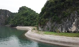 Di sản vịnh Hạ Long bị bê tông hóaẢnh: HOÀNG DƯƠNG