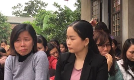 Hơn 84 nghìn giáo viên hợp đồng có thể được xét đặc cách 