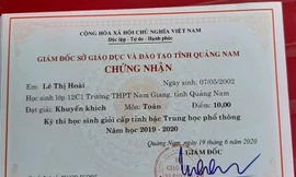 Thành tích thi học sinh giỏi toàn tỉnh của em Hoài